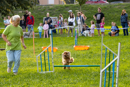 Pasji športni dan_6. 8. 2025 (22)